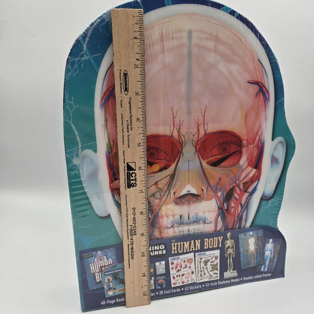 NEW Learning Adventures Human Body 12